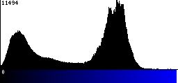 Blue Histogram