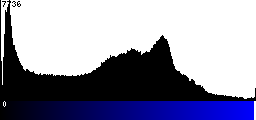 Blue Histogram