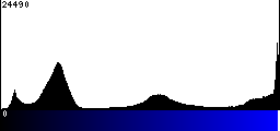 Blue Histogram