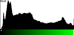 Green Histogram