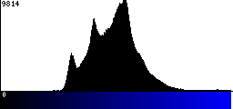 Blue Histogram