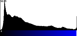 Blue Histogram