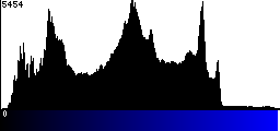 Blue Histogram