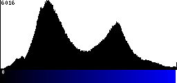 Blue Histogram