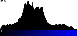 Blue Histogram