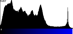 Blue Histogram