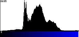 Blue Histogram