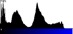 Blue Histogram