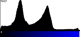 Blue Histogram
