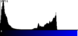 Blue Histogram
