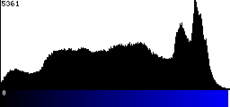 Blue Histogram