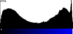 Blue Histogram