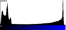 Blue Histogram