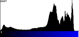 Blue Histogram