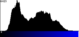 Blue Histogram