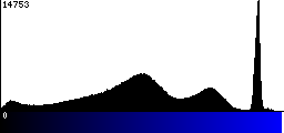 Blue Histogram