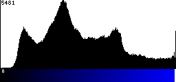 Blue Histogram