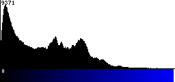 Blue Histogram