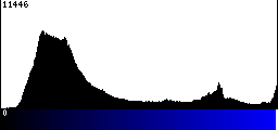 Blue Histogram