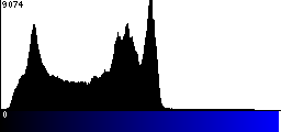 Blue Histogram