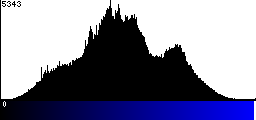 Blue Histogram