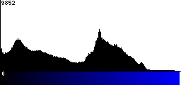 Blue Histogram