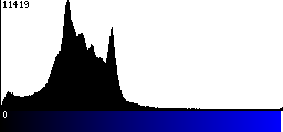 Blue Histogram
