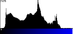 Blue Histogram