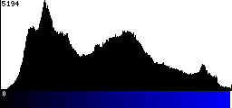 Blue Histogram