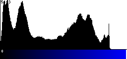 Blue Histogram