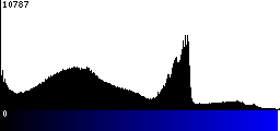 Blue Histogram