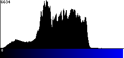 Blue Histogram