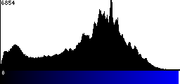 Blue Histogram