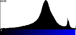 Blue Histogram
