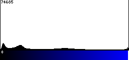 Blue Histogram