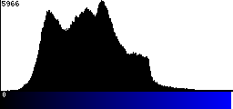 Blue Histogram