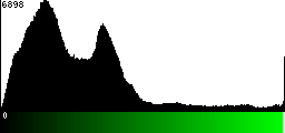 Green Histogram