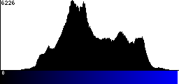 Blue Histogram