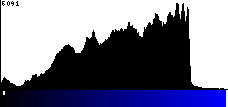 Blue Histogram
