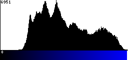 Blue Histogram