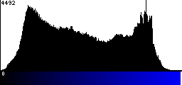 Blue Histogram