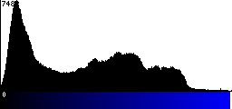 Blue Histogram