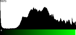 Green Histogram