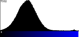 Blue Histogram