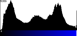Blue Histogram