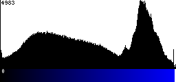 Blue Histogram