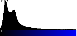 Blue Histogram