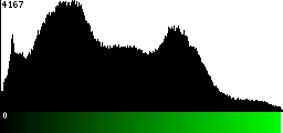 Green Histogram