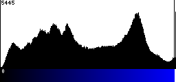 Blue Histogram