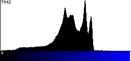 Blue Histogram